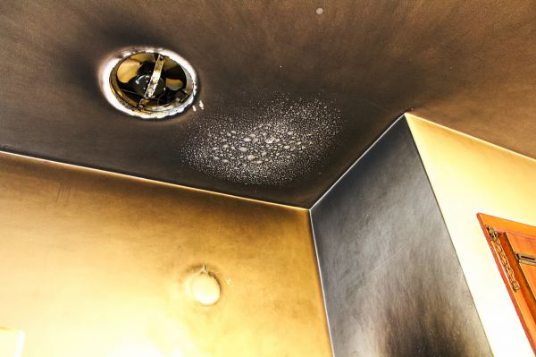 Smoke Damage Remediation in Hopkins